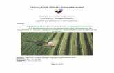 Universidad Abierta Interamericana - …imgbiblio.vaneduc.edu.ar/fulltext/files/TC106451.pdf · ineficiencias en las empresas dedicadas a la venta de repuesto agrícolas para así