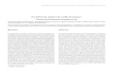 Escarificación química de semilla de papaya* Chemical ...scielo.unam.mx/pdf/remexca/v4n6/v4n6a10.pdf · Revista Mexicana de Ciencias ... lo cual se comparó tratamientos a base