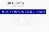 Derecho Constitucional y Amparo - Mi Materia en Líneamoodle2.unid.edu.mx/dts_cursos_mdl/pos/DR/CA/S11/CA11_Lectura.pdf · En el caso penal que se fije una fianza, la suspensión