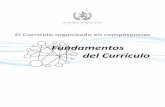 El Currículo organizado en competencias - Inicio …€¦ · 6.5 Ejes del currículo 30 6.6 Ejes del currículo y su relación con los ejes de la reforma 31 6.7 Áreas y niveles