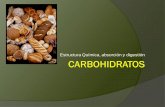 Estructura Química, absorción y digestión · CARBOHIDRATOS •Pueden poseer P, N y S •Hidrosolubles •Proporcionan 4.1 Kcal por gramo Características •Energéticas: Glucosa