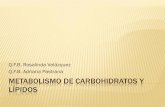 Q.F.B. Rosalinda Velázquez Q.F.B. Adriana Pastrana ...depa.fquim.unam.mx/amyd/archivero/METABOLISMOCARBOHIDRAT… · Metabolismo de lípidos y lipoproteínas. CONCEPTO •Son trastornos