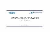Caracterización de la Exclusión en Salud en Boliviaudape.gob.bo/portales_html/exclusion/Caracterización de la... · Esquema 1: Flujo de Financiamiento y Gasto en el Sector Salud.....15