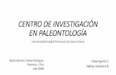 CENTRO DE INVESTIGACION EN PALEONTOLOGIArepositorio.educacionsuperior.gob.ec/bitstream/28000/5027/1/Anexo 1... · paleontologia-en-el-ecuador.html . PALEONTOLOGÍA Esta ciencia se