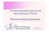 Trombocitopenia aloinmune feto/neonatal (TAFN ... · RefractariedadRefractariedad inmune a las transfusiones de plaquetas inmune a las transfusiones de plaquetas. TROMBOCITOPENIA