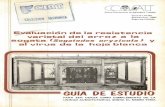 GUIA DE ESTUDIOciat-library.ciat.cgiar.org/Articulos_Ciat/Digital/AV_SB...__ o __ ::c.----CenllO Internacional de Agricultura Tropical Serie 01.07.04 Septiembre, 1980 Segunda Edición