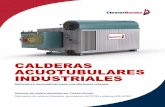 CALDERAS ACUOTUBULARES INDUSTRIALES - Venta y …calderasdelnorte.com.mx/wp-content/uploads/2016/06/Calderas-Acuo... · recuperación de calor y calderas de calor residual 10,000