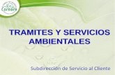 TRAMITES Y SERVICIOS AMBIENTALES · 2015-03-20 · Colombiana NTC-5385, Centro de Diagnóstico Automotor; NTC-5375, Revisión Técnico-Mecánica y de emisiones contaminantes en vehículos