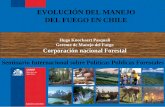 Hugo Knockaert Pasquali Gerente de Manejo del Fuego ... · Seminario Internacional sobre Políticas Publicas Forestales Hugo Knockaert Pasquali ... interfaz urbano-rural, a través