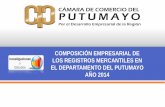 COMPOSICIÓN EMPRESARIAL DE LOS …ccputumayo.org.co/site/wp-content/uploads/2015/06/Estudio-Composic... · condición de comerciante. Persona Jurídica: Su constitución se realiza