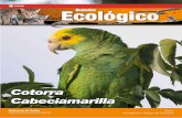  · Amenazadas de Fauna y Flora Silvestres (CITES). En Venezuela se establece su veda indefinida desde 1970 medida que es ratificada mediante el Decreto NO 1.485