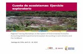 Cuenta de ecosistemas: Ejercicio exploratorio - UNSD · organismos fiscalizados en todo lo que tiene que ver con la recuperación de los ecosistemas,conlaconservación,protección