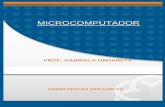 MICROCOMPUTADOR - … · instrucciones y las unidades hardware que implementan las instrucciones. ... define como el conjunto de instrucciones que dirigen al hardware. Asimismo, dice