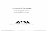 MODELO MATEMÁTICO LMIVIACI~N DE PLATA …148.206.53.84/tesiuami/UAM0774.pdf · modelo matemÁtico para la lmiviaci~n de plata con el sistema tiosulfato-amoniaco-cobre. tesis que