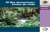 El Río Amatzinac: Ciclos de Vida - Acceso al sistemabiblioteca.semarnat.gob.mx/janium/Documentos/211877.pdf · Comisión Nacional del Agua El Río Amatzinac: Ciclos de Vida Edición