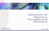 Optimización de Negocios y Tecnología de la Informaciónongei.gob.pe/estudios/publica/estudios/T01_OPT_NEG_TIC_ENE2011.pdf · • Las organizaciones de negocios en los nuevos tiempos