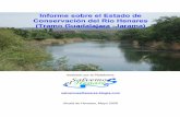 Informe sobre el Estado de Conservación del Río … Estado de... · han elaborado las primeras alegaciones, presentando informes tanto al “Esquema Provisional de Temas Importantes”