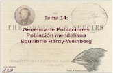 Tema 17: Genética Poblaciones Igenetica.uab.cat/base/documents/genetica_gen201415/Tema%2014%2… · Evolución desde la perspectiva poblacional: ... 0 0,1 0,2 0,3 0,4 0,5 0,6 0,7