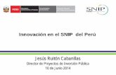 Innovación en el SNIP del Perú - Comisión Económica ... · Los estudios de preinversión y los informes técnicos completos disponibles en el portal web el SNIP (para PIP viables