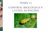 TEMA 11 CONTROL BIOLÓGICO Y LUCHA AUTOCIDA · insectos minadores y defoliadores, chupadores y de los estados móviles de los ácaros. BACTERIAS. CONTROL BIOLÓGICO Y LUCHA AUTOCIDA