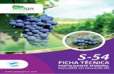 S-54 FICHA TECNICA - galgaperu.comgalgaperu.com/wp-content/uploads/2017/01/S-54-FICHA-TECNICA.pdf · través del proceso de remineralización cualquier de˜ciencia de azufre y ...