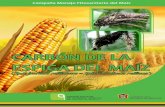 CARBÓN DE LA ESPIGA DEL MAÍZ - cesavem.mxcesavem.mx/img/fitosanitariodelmaiz/maiz2.pdf · La rotación de cultivos en terrenos donde se pre sentó la enfermedad debe realizarse