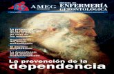 Nº 12 - Junio 2008 …amegmadrid.org/REVISTAS/12.pdf · del mayor polimedicado El anciano hospitalizado La dependencia en el anciano institucionalizado. ... diapositiva color. En