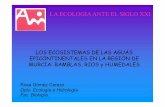 LOS ECOSISTEMAS DE LAS AGUAS …€¦ · LOS ECOSISTEMAS DE LAS AGUAS ... 1.360.000.000 100 Aguas Continentales = 0,64%. ... Aula Mayores 09 [Modo de compatibilidad] Author \ ...