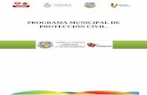 PROGRAMA MUNICIPAL DE PROTECCIÓN CIVIL.carrillopuerto.emunicipios.gob.mx/wp-content/uploads/sites/158/... · riesgos, la elaboración y participación en los programas preventivos
