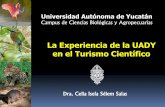 La Experiencia de la UADY en el Turismo Científico · Apicultura Tropical Estudiar la biología y manejo de las abejas de la península de Yucatán, desarrollando programas educativos