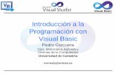 Introducción a la Programación con Visual Basic - …personales.unican.es/corcuerp/VB/Slides/TransVB.pdf · Introducción a la Programación con Visual Basic Pedro Corcuera Dpto.
