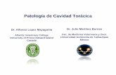 Patología de Cavidad Torácica - people.upei.capeople.upei.ca/lopez/castellano/tamaulipas/respiratorio/5-torax.pdf · Hemotórax por lesión penetrante de arma de fuego en Bisonte
