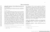 Campana Rota - Documentos - A. Bolaños G.sajurin.enriquebolanos.org/vega/docs/ABG-CP-C13-Documentos.pdf · Isla Española, 6 de marzo de 1524.-[Archivo General de Indias, Sevilla,