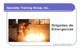 Estructura de Brigadas - Specialty Training Group, Inc. · Estructura de las brigadas Funciones Operacionales Descripción. Sistemas de Respuestas a ... OBJETIVOS BASICOS DE LA CREACIÓN