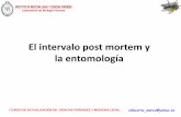 El intervalo post mortem y la entomología€¦ · disciplina de la entomologia que estudia a los insectos y artropodos y sus interrelaciones en el auxilio de la investigacion legal.