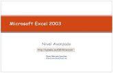 Microsoft Excel 2003 - .Microsoft Excel 2003 Nivel Avanzado ... Agenda Empezar a trabajar con EXCEL