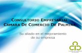 PROGRAMA DE CONSULTORIA EMPRESARIAL - Inicio · Portafolio de Servicios de Consultoria Empresarial Gestión Financiera y Costos con Enfoque en NIIF: Brindar a las empresas un producto