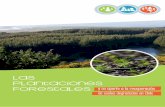 Plantaciones Forestales - CORMA · Silvicultura 1. 5 silvicultura en el país hacia fines del siglo XVIII y en una ... las plantaciones. Como resultado de la Ley de Bosques, entre