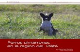 Perros cimarrones en la región del Plataargentinambiental.com/wp-content/uploads/pdf/AA85-60-Perros... · nen como protagonista al perro, ... doméstico que decidió unir su camino