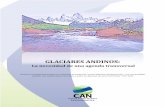 GLACIARES ANDINOS - can-la.orgcan-la.org/images/publicaciones/GlaciaresAndinos84308.pdf · en el uso intensivo de agroquímicos y altas tecnologías, ... importancia de los glaciares