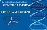 Por Mariana Motter y Gabriela Iglesias GENÉTICA … · es la utilidad de un Cariotipo? CROMOSOMA •ADN • Proteínas no histónicas • Proteínas histónicas •ARN. HISTONAS