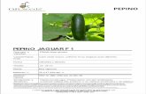 JAGUAR PEPINO - sikeusa.comsikeusa.com/wp-content/uploads/2014/05/PEPINO-JAGUAR-final-mayo… · ... (Virus de la Mancha anular de la Papaya); ... (Virus Mosaico de la Sandia raza2);