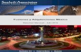 Fusiones y Adquisiciones México - M&A México | M&A ...mnamexico.com/wp-content/uploads/2017/01/Reportes-Mensuales-MA... · Parque Solar Coahuila SAPI de CV Energía Proveedores