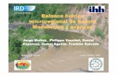 Division HYBAM Balance hídrico microregional de … · microregional de Bolivia Modelación y avances Division HYBAM Jorge Molina, ... Yura Icla Pojpo Ocuri Ayoma Uyuni Ajtara Calcha