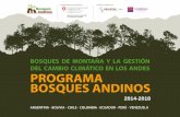 PROGRAMA BOSQUES ANDINOS - canopybridge.comcanopybridge.com/wp-content/uploads/2016/04/bosques_andinos_pre… · Caso: Miel de Abeja Orgánica ... • Cada Asociación formuló un