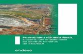 Puertollano (Ciudad Real), actuaciones ambientales en ...ingeominas.es/wp-content/uploads/2017/01/06_ENDESA-RESTAURACI… · 4 Actuaciones ambientales en centros mineros de ENDESA