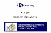 NIA 570 - Negocio en marcha FV - fvconsulting.com.co 570 - Negocio en marcha... · nia 570 negocio en marcha normas internacionales de aseguramiento de la informaciÓn “nai” ...