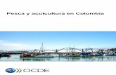 Pesca y acuicultura en Colombia - OECD.org - OECD³logo La gestión de la pesca y la acuicultura en Colombia es una tarea especialmente difícil dada la variedad, riqueza y extensión