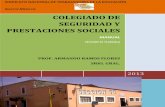 COLEGIADO DE SEGURIDAD Y PRESTACIONES …snte.org.mx/seccion55/assets/MANUAL DEL COLEGIADO 2013.pdf · servicios y beneficios que se deriven de las obligaciones legales que ... Pensiones