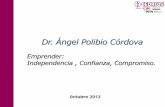 Dr. Ángel Polibio Córdova - uasb.edu.ec Cordova.pdf · Nacional de Hogares en Colombia con entrevista a 7.000 hogares, cuya metodología se expande en toda Latinoamérica. Nace